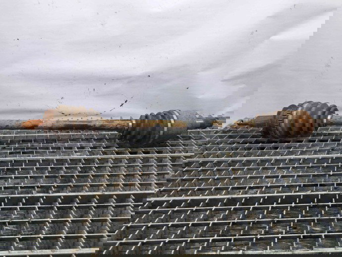 Planetara dreapta spate Hyundai Santa Fe 2 (CM) [Fabr 2005-2012] 49600-2B010 2.2 D4EB  