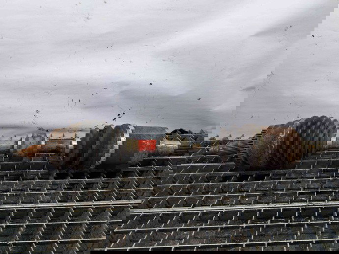 Planetara stanga fata Hyundai Santa Fe 2 (CM) [Fabr 2005-2012] 49500-2B260 2.2 D4EB  