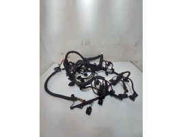 Instalatie electrica motor BMW X1 2.0 D 780216406 2009-2015