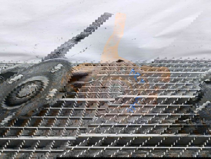 Fuzeta fata dreapta Ford Mondeo 4 [Fabr 2007-2015] OEM 2.0 TDCI 2.0 TDCI 110KW / 150CP