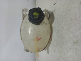 Vas expansiune Dacia Duster 1.6 b  217107259R 2010-2017