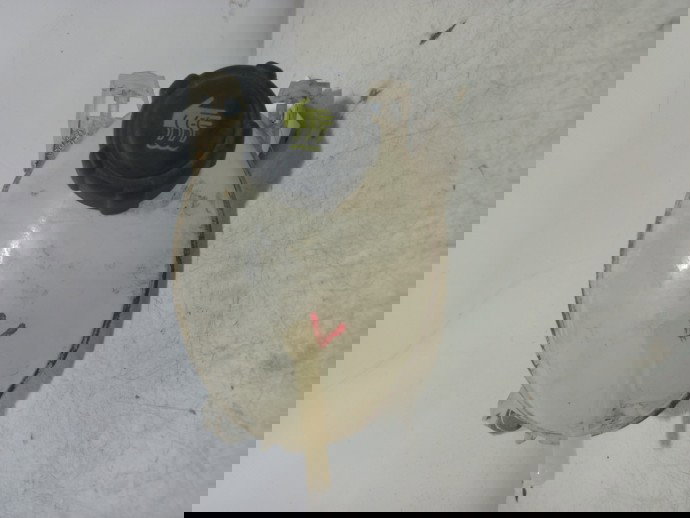 Vas expansiune Dacia Duster 1.6 b  217107259R 2010-2017