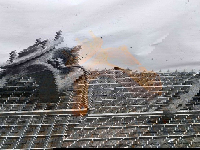 Fuzeta fata stanga Ford Mondeo 4 [Fabr 2007-2015] OEM 2.0 TDCI 2.0 TDCI 110KW / 150CP