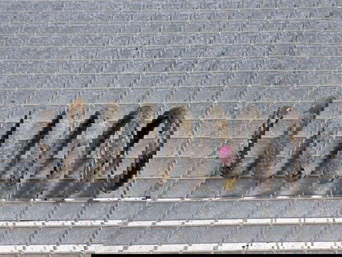 Arc Mercedes Clasa E (W207) Coupe [Fabr 2009-2012] OEM