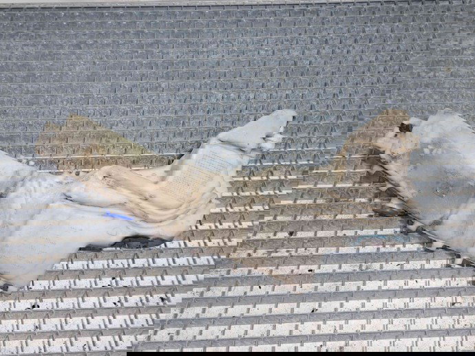 Vas lichid parbriz Ford Focus 2 (DA) [Fabr 2004-2012] 4M51 13K153 AF