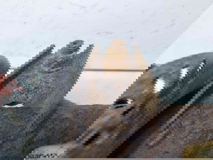 Amortizor dreapta fata Volkswagen Jetta 4  (6Z) [Fabr 2011-2017] 5C0413031AQ 1.6 TDI CAYC 1.6 TDI CAYC 77KW / 105CP