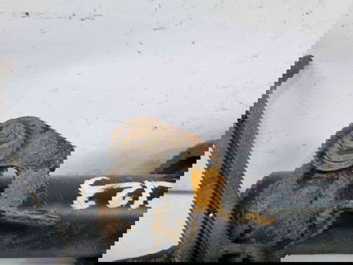 Amortizor stanga fata Audi A7 Sportback (4GA) [Fabr 2011-2017] 4G8031F 3.0 TDI CDUD 3.0 TDI CDUD 180KW / 245CP