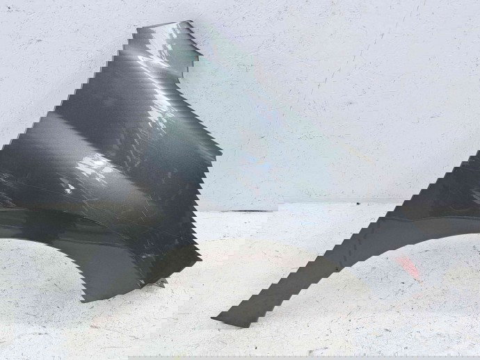 Aripa dreapta fata Peugeot 207 (WA) [Fabr 2006-2012] EZQ