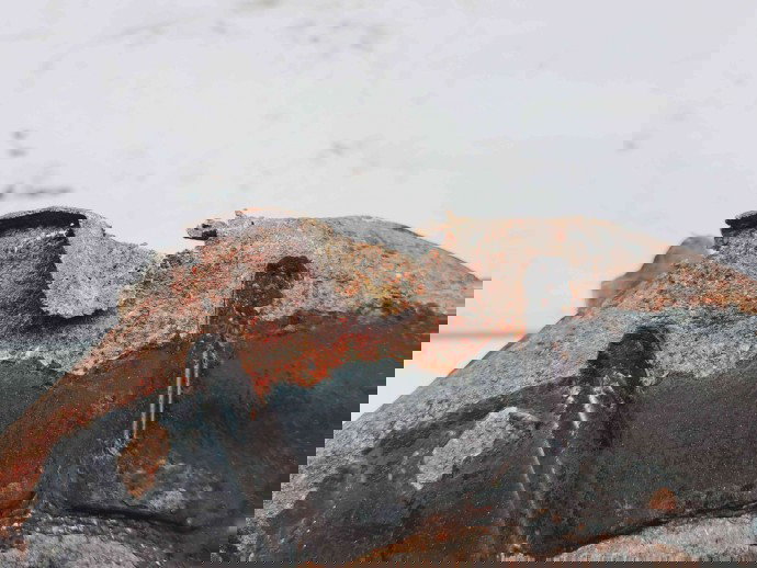 Fuzeta fata dreapta Volkswagen Jetta 4  (6Z) [Fabr 2011-2017] OEM 1.6 TDI CAYC 1.6 TDI CAYC 77KW / 105CP