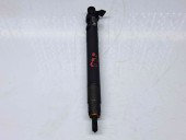 Injector Ford Galaxy 2 [Fabr 2006-2015] 9686191080 2.0 TDCI