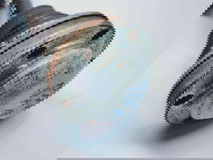 Planetara stanga fata Volkswagen Tiguan (5N) [Fabr 2007-2016] 5N0407763D 2.0 TDI CFFB 103KW / 140CP 2.0 TDI CFFB 103KW / 140CP