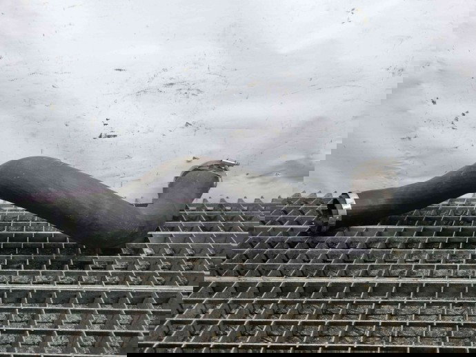 Furtun intercooler Ford Mondeo 5 Sedan [Fabr 2014-2022] OEM 2.0 TDCI  