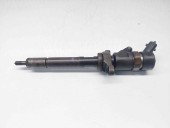Injector Ford Focus 2 (DA) [Fabr 2004-2012] 0445110259 1.6 TDCI G8DB  80 KW / 109 CP