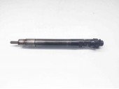 Injector, 9686191080, Peugeot 406 coupe (8C) 2.0hdi