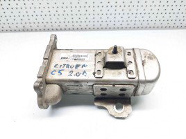 Racitor gaze Citroen C5 (III) [ Fabr 2008-prezent] V29004027 2.0 HDI