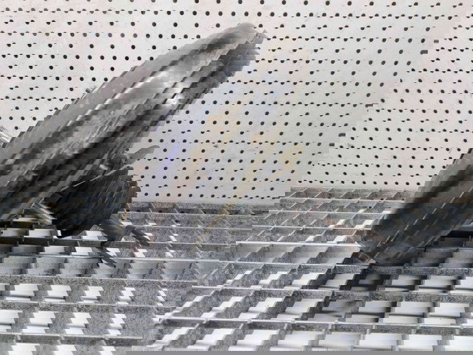 Tulumba frana Mercedes Clasa A (W169) [Fabr 2004-2012] A1694300230