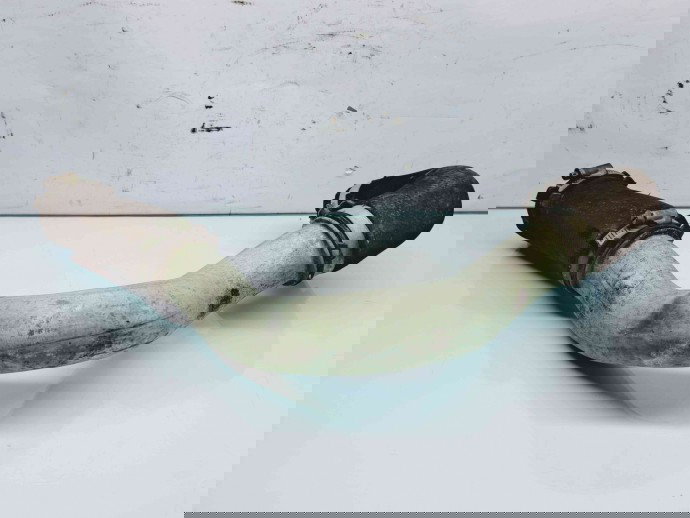 Tub intercooler Audi A6 (4F2, C6) [Fabr 2004-2010] 4F0145686M 2.0 TDI CAHA 2.0 TDI CAHA 125KW / 170CP