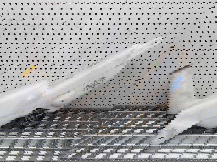 Vas lichid parbriz Opel Zafira A (F75) [Fabr 1999-2005] OEM