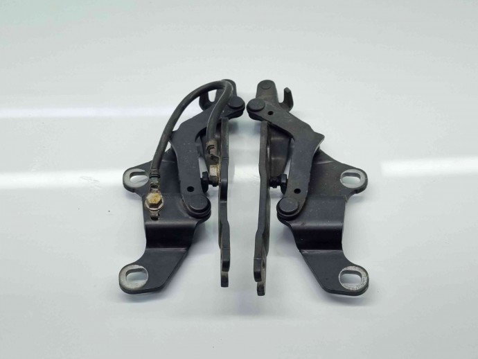 Set balamale capota Bmw 3 (E90) [Fabr 2005-2011] 7115264 | 7115263