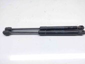 Set amortizor capota Audi A6 (4G5, C7) [Fabr 2011-2017] OEM