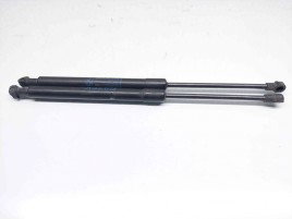 Set amortizor capota Bmw 1 (E81, E87) [Fabr 2004-2010] 51237118370