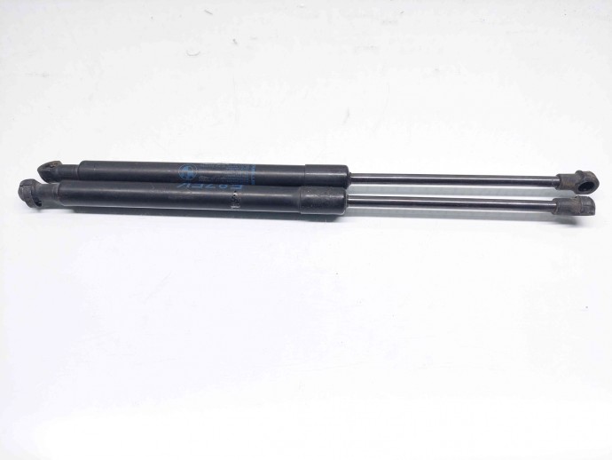 Set amortizor capota Bmw 1 (E81, E87) [Fabr 2004-2010] 51237118370