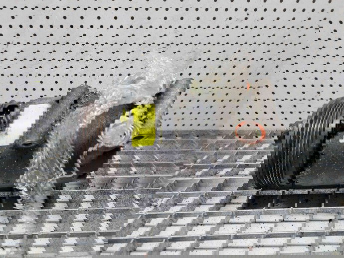 Compresor clima Ford Focus 2 (DA) [Fabr 2004-2012] OEM 1.6 B SHDA  74KW / 101CP