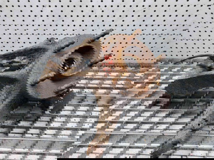 Fuzeta fata dreapta Ford Focus 2 (DA) [Fabr 2004-2012] OEM