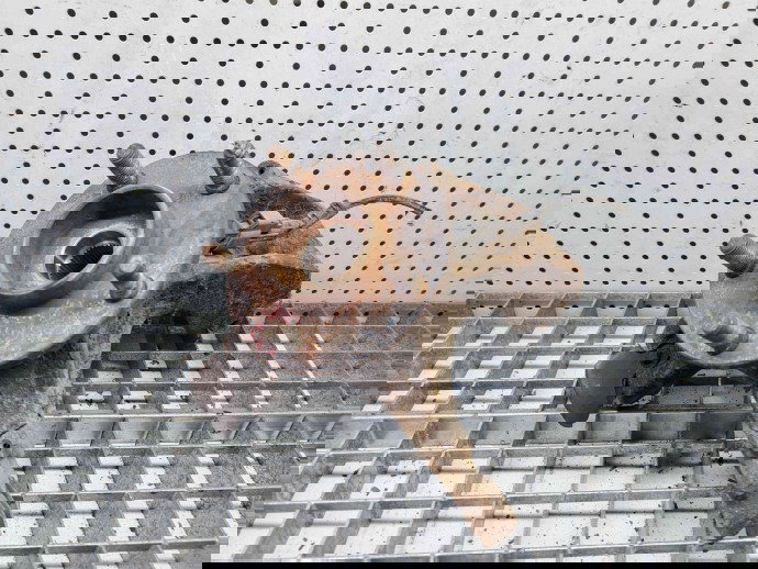 Fuzeta fata stanga Ford Focus 2 (DA) [Fabr 2004-2012] OEM