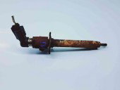 Injector LAND ROVER DISCOVERY 3 (L319) [Fabr 2005-2009] 4H2Q-9K546-AE 2.7 276DT 140KW / 190CP 2.7 276DT 140KW / 190CP