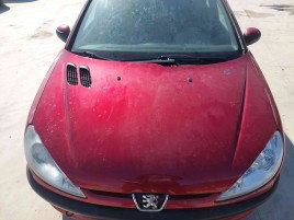 Capota Peugeot 206 [Fabr 1998-2009] EKQ