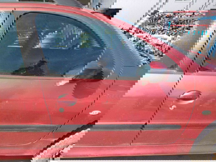 Usa dreapta fata Peugeot 206 [Fabr 1998-2009] OEM