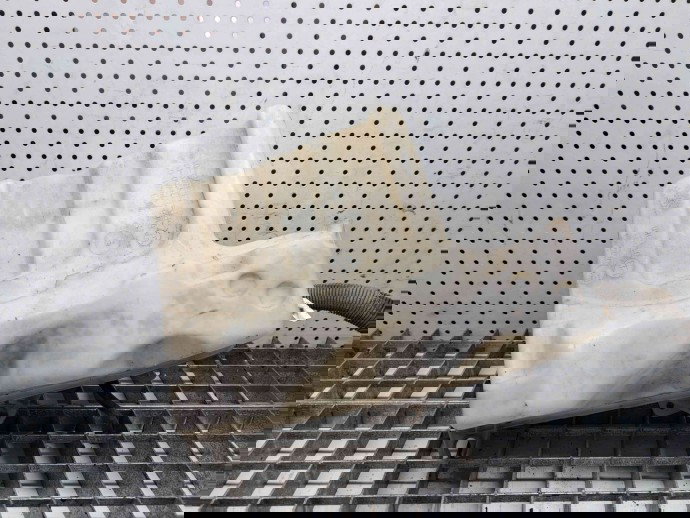 Vas lichid parbriz Bmw 5 Touring (E61) [Fabr 2004-2010] 7179451