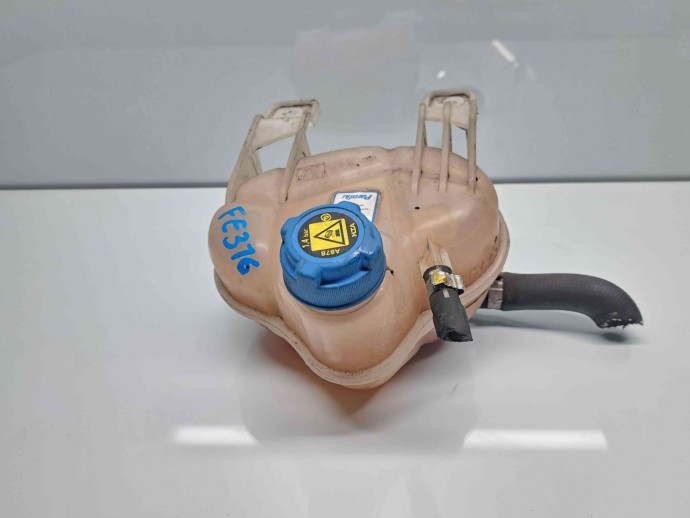 Vas expansiune Fiat Grande Punto (199) [Fabr 2005-2009] OEM