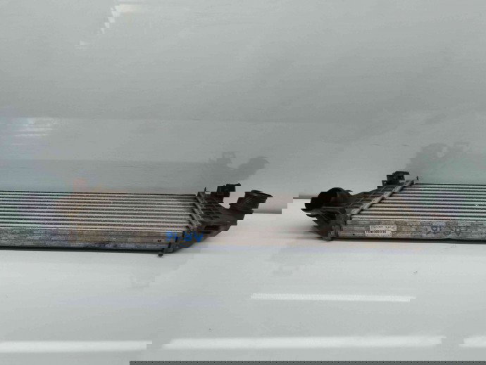 Radiator intercooler Ford Focus 3 (CB8) [Fabr 2011-2015] 8V61-9L440-AC 2.0 UFDA 2.0 UFDA 110KW / 150CP