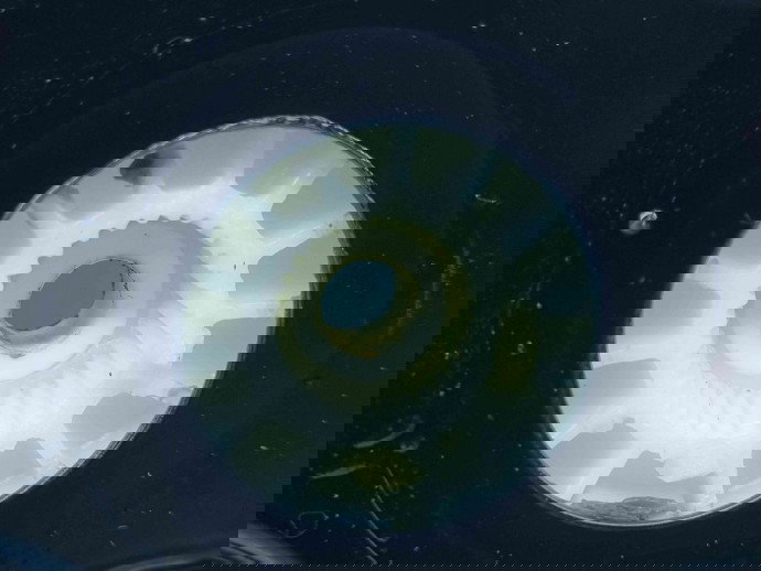 Macara electrica geam dreapta fata LAND ROVER RANGE ROVER SPORT (L320) [Fabr 2005-2009] OEM