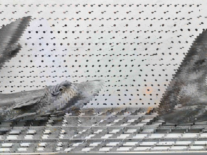 Tub admisie aer Renault Megane 3 [Fabr 2008-2015] 1032198S01