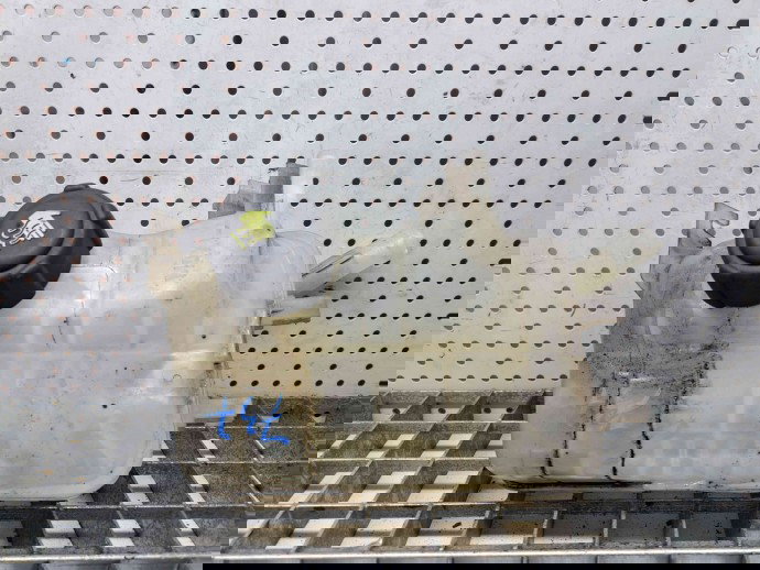 Vas expansiune Renault Megane 3 [Fabr 2008-2015] 217100005R