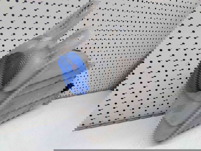 Vas expansiune Audi A5 Sportback (8TA) [Fabr 2009-2015] 8K0121405M