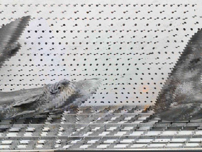 Tub admisie aer, 1032198S01, Renault Scenic 3 1.6dci