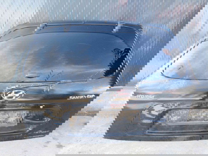 Haion Hyundai Santa Fe 1 (SM) [Fabr 2000-2006] HC
