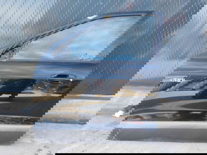 Usa stanga fata Hyundai Santa Fe 1 (SM) [Fabr 2000-2006] HC