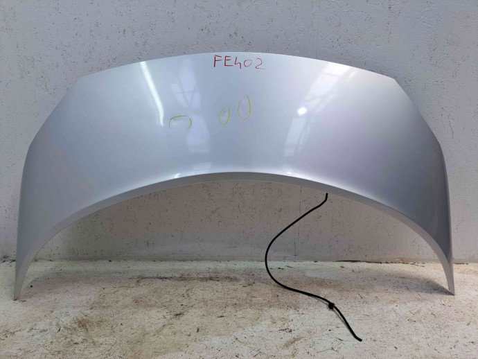 Capota Renault Scenic 2 [Fabr 2003-2008] TED69