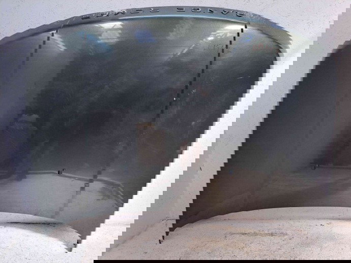 Capota LAND ROVER RANGE ROVER SPORT (L320) [Fabr 2005-2009] 904 Tonga Green