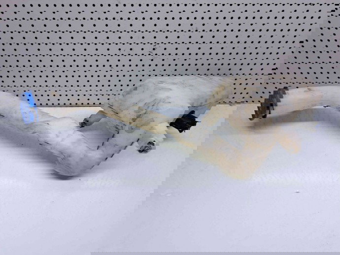 Vas strop gel, 6Q0955453N, Skoda Fabia 2 (5J, 542)