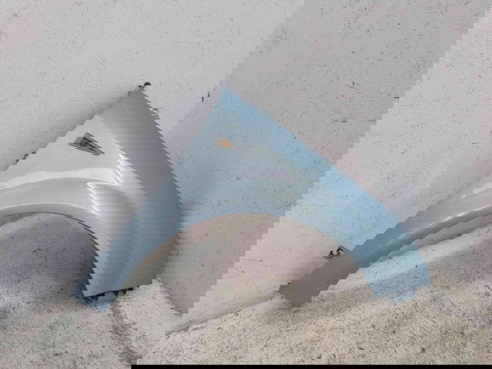 Aripa dreapta fata Renault Scenic 2 [Fabr 2003-2008] TERNK