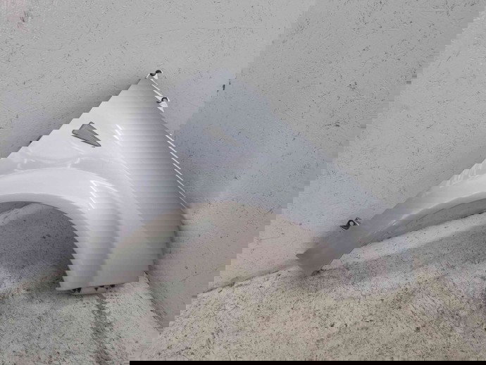 Aripa dreapta fata Renault Scenic 2 [Fabr 2003-2008] TED69