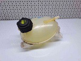 Vas expansiune Dacia Logan 2 [Fabr 2012-prezent] 217107259R