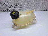 Vas expansiune Dacia Logan 2 [Fabr 2012-prezent] 217107259R