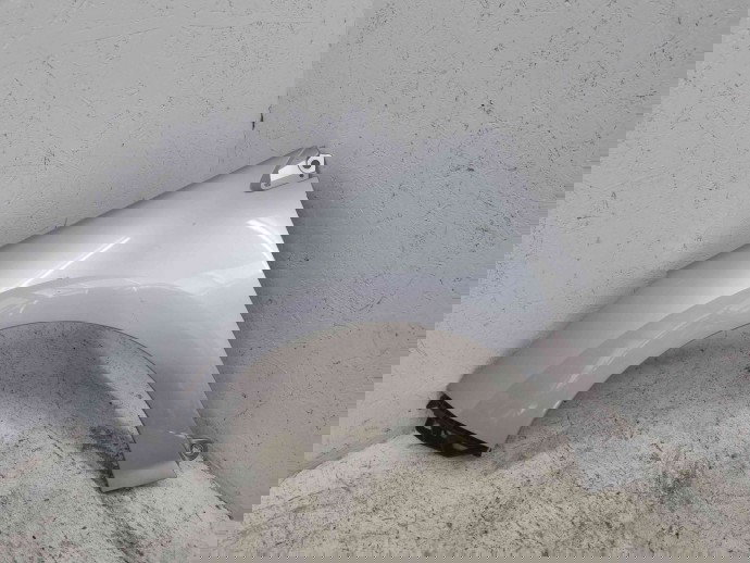 Aripa stanga fata Peugeot 308 [Fabr 2007-2013] EZR